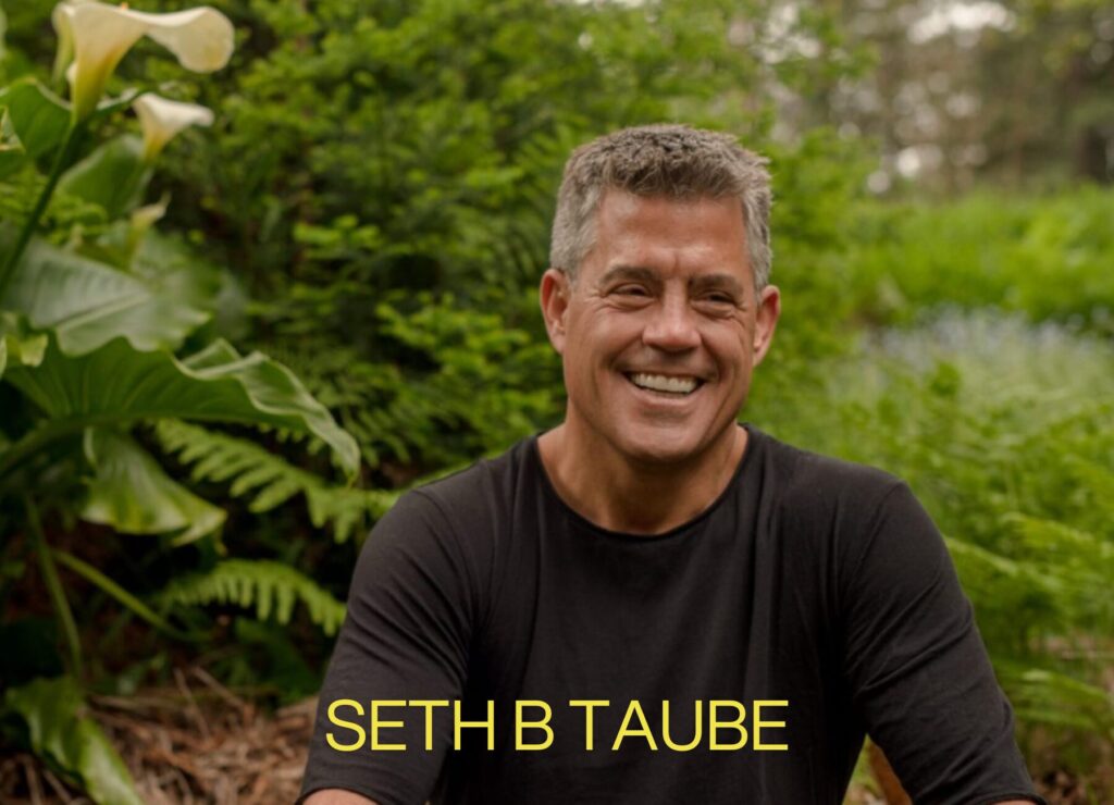 Seth B Taube: All About It