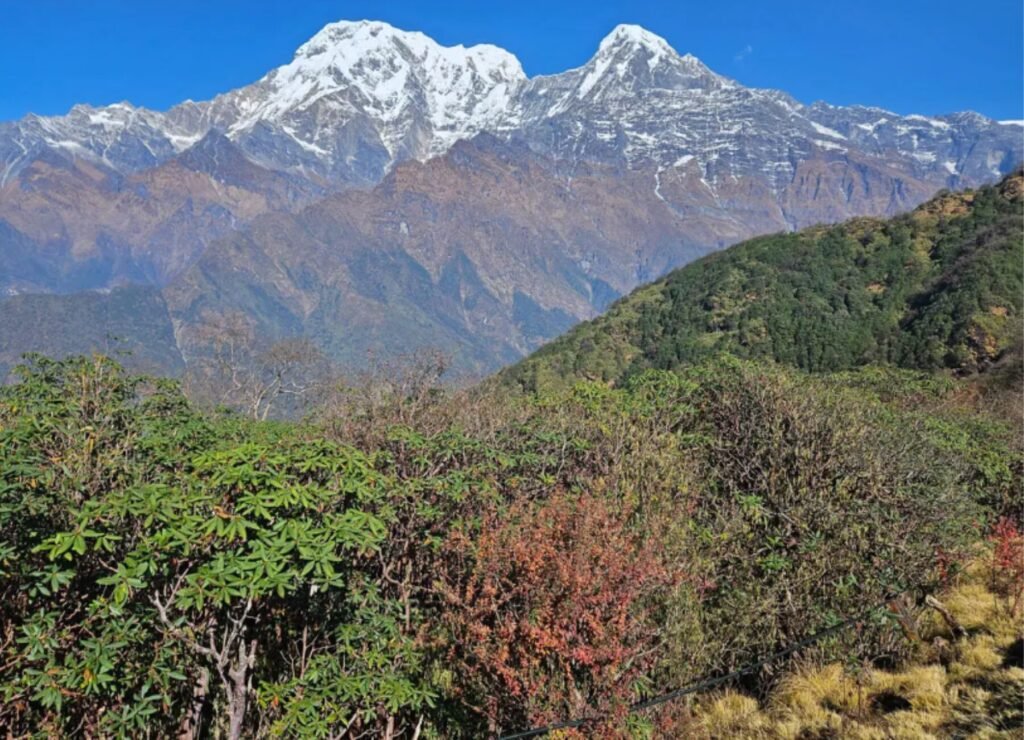 Flora and Fauna on the Annapurna Circuit