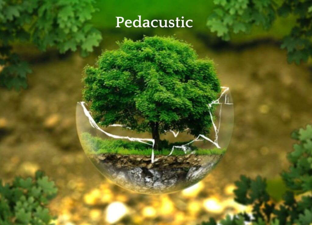 Pedacustic